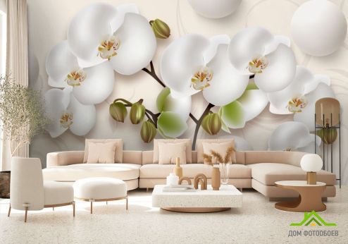 выбрать Фотообои Орхидея 3д Фотообои, цвет: «горизонталная, горизонтальная» на стену