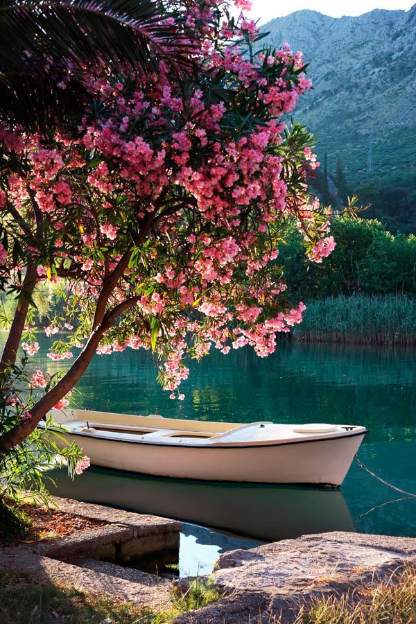 Фотообои Лодка, берег, цветы