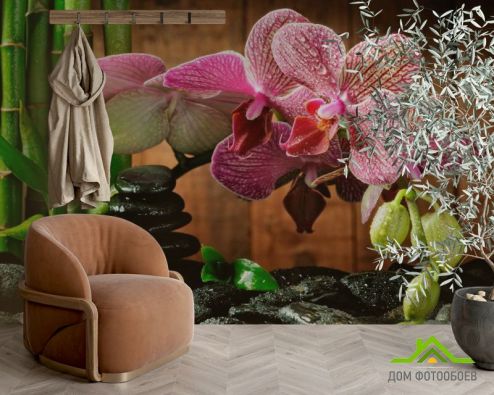 выбрать Фотообои Малиновые полосчатые орхидеи Фотообои Фотообои Цветы: фото  на стену