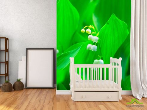 выбрать Фотообои Ландыш Фотообои Фотообои Цветы: зелений, зеленый на стену
