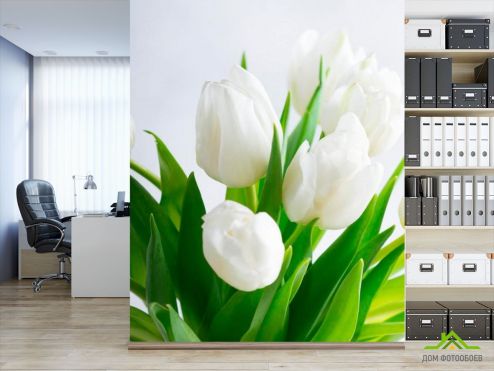 выбрать Фотообои Тюльпаны Фотообои, цвет: «вертикальная» на стену