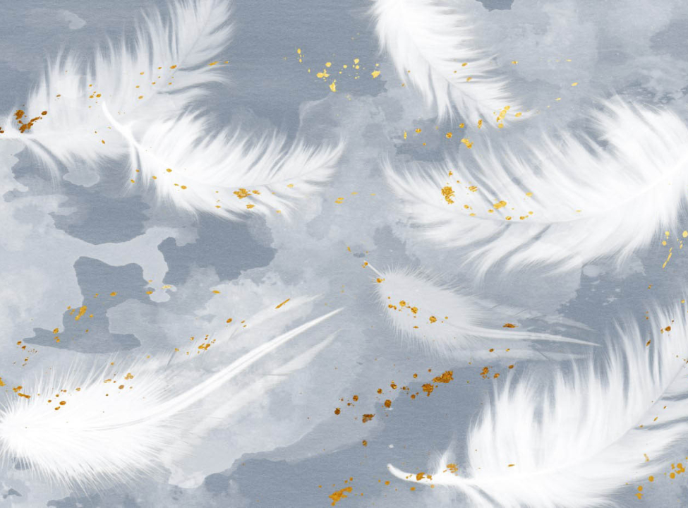 выбрать Фотошпалери Пір'я на блакитному з золотом Каталог фотошпалер на стіну