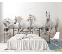 Фотообои четыре белые лошади