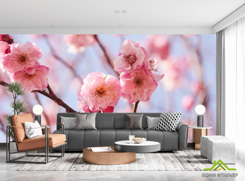 выбрать Фотошпалери Рожеві вишневі суцвіття Каталог фотошпалер на стіну