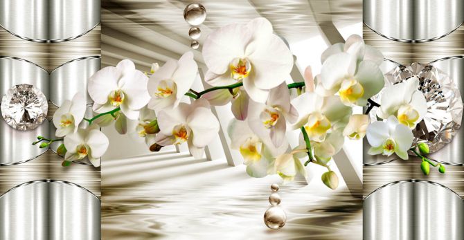 ФотообоиВетка орхидеи с камнями
