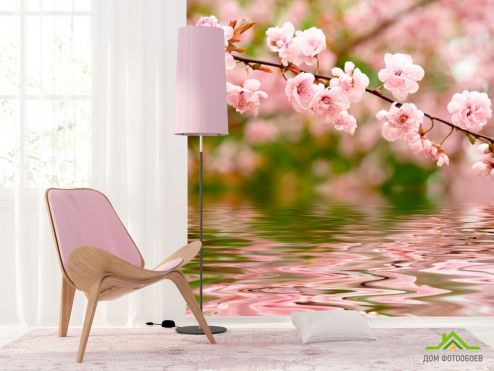 выбрать Фотообои Речная вишня цветет Розовые фотообои на стену