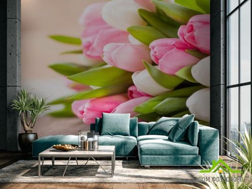 выбрать Фотообои белые и розовые тюльпаны Фотообои Тюльпаны на стену