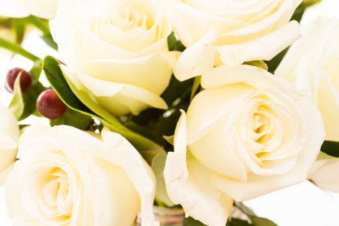 Фотообои 4 розы белых