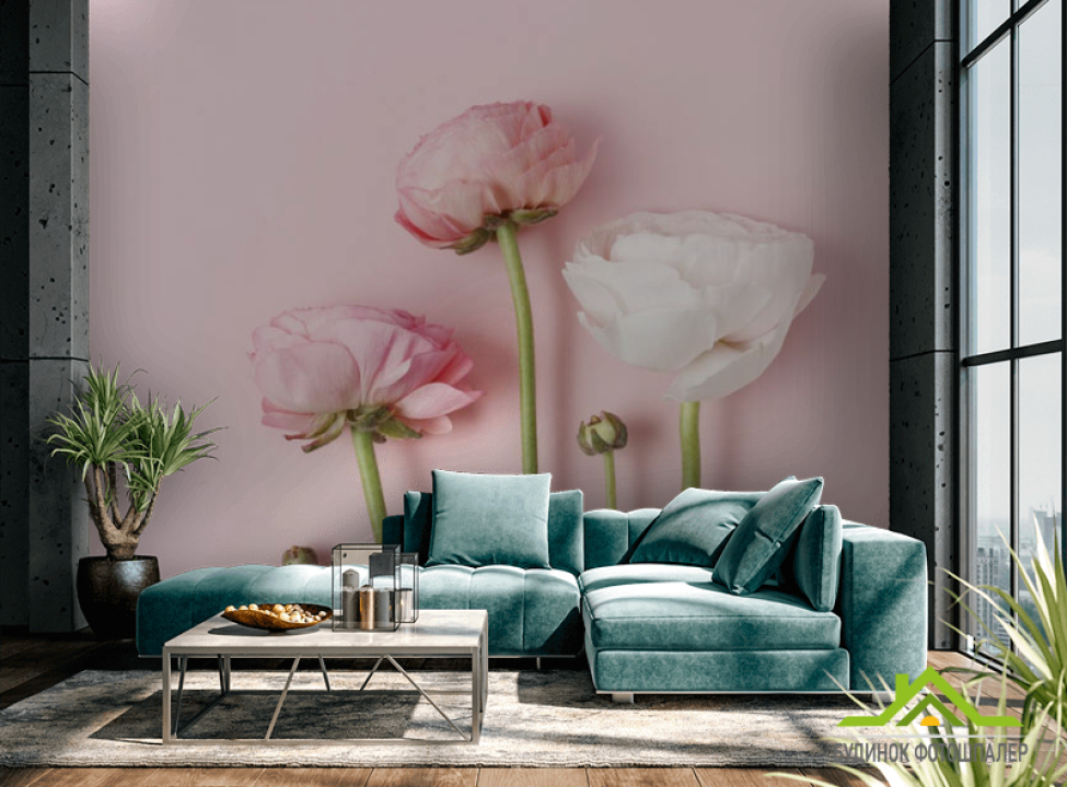 выбрать Фотошпалери Мінімалістичні рунункюлюсы Каталог фотошпалер на стіну