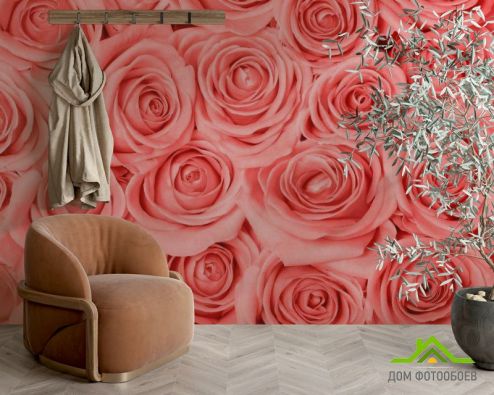 выбрать Фотообои Кремово-розовые розы Розовые фотообои на стену