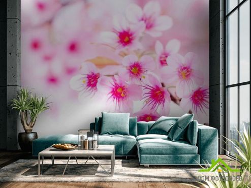 выбрать Фотообои Цветущее весной дерево Фотообои Фотообои Цветы: розовый на стену