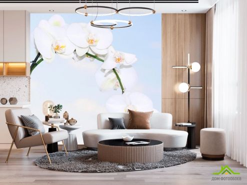 выбрать Фотообои Ветка белоснежных орхидей Фотообои Цветы на стену