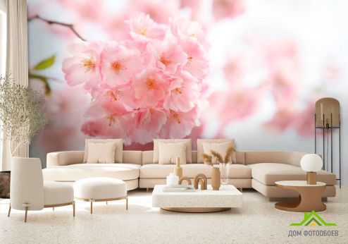 выбрать Фотообои Вишня цветет Фотообои Фотообои Цветы: розовый на стену