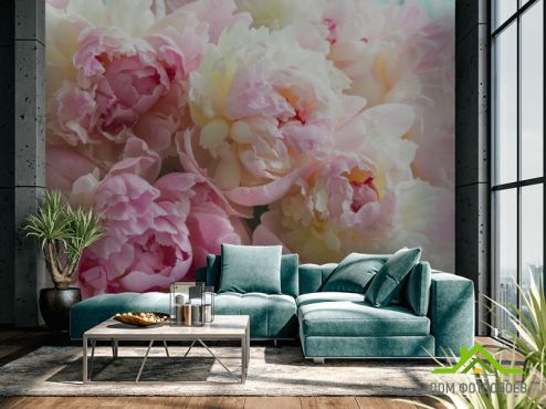 выбрать Фотообои Пионы розовые Фотообои Фотообои Цветы: горизонталная, горизонтальная ориентация на стену