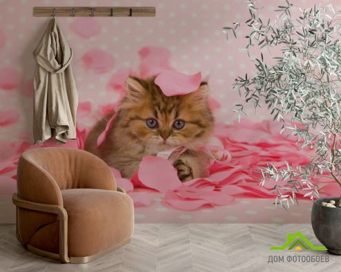 выбрать Фотообои котёнок в лепестках роз Фотообои Фотообои Животные: горизонталная, горизонтальная ориентация на стену
