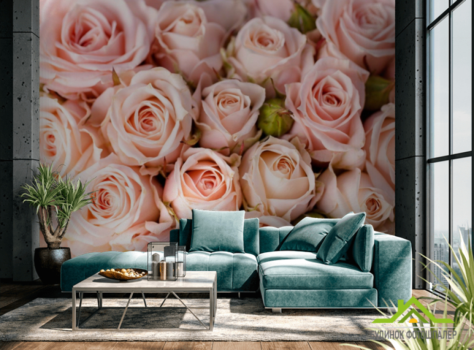 выбрать Фотообои нежные розовые розы Каталог фотообоев на стену
