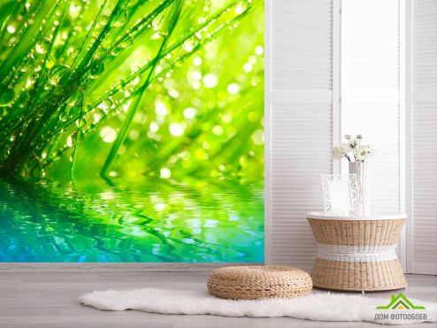 выбрать Фотообои Трава в росе Фотообои Фотообои Цветы: квадратная на стену