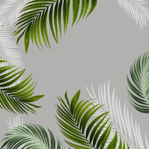 выбрать Фотообои тропические листья Каталог фотообоев на стену