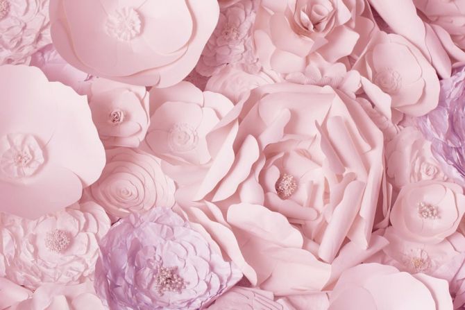 Фотообои бумажные розовые цветы