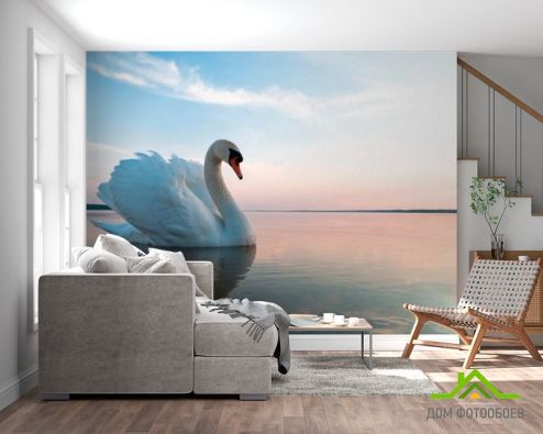 выбрать Фотообои Лебедь на пруду Фотообои Птицы  на стену