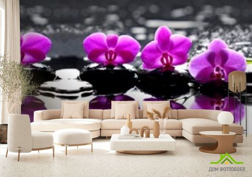 выбрать Фотообои фиолетовые орхидеи на камнях Фотообои Фотообои Орхидеи: горизонталная, горизонтальная ориентация на стену