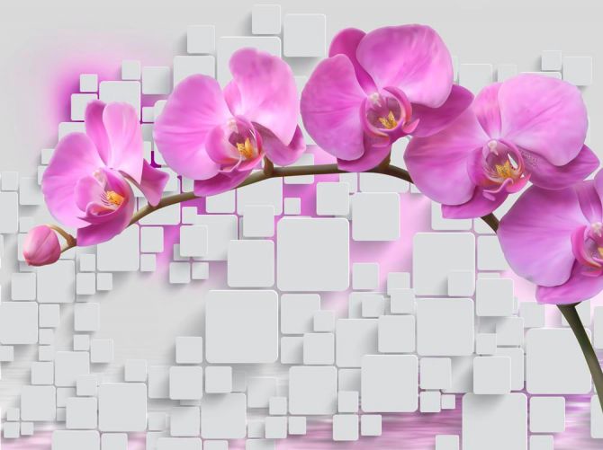 Фотообои Орхидеи