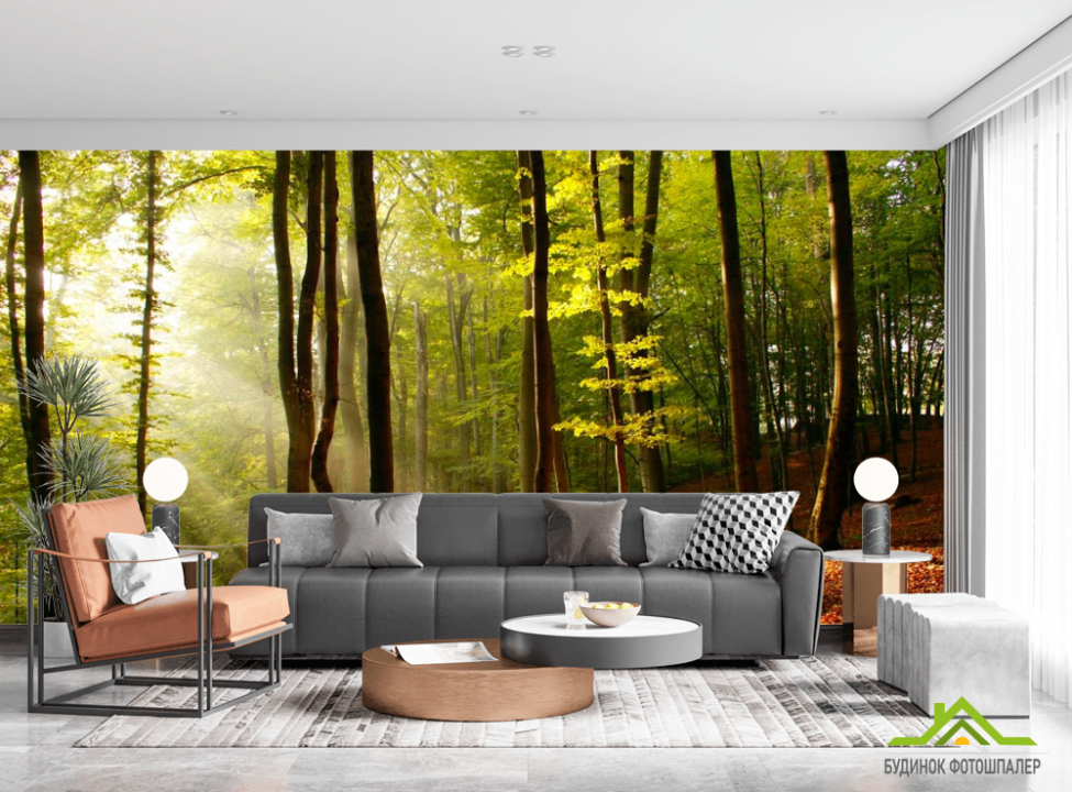 выбрать Фотообои Кусок леса Каталог фотообоев на стену