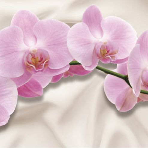 выбрать Фотообои орхидея Розовые фотообои на стену