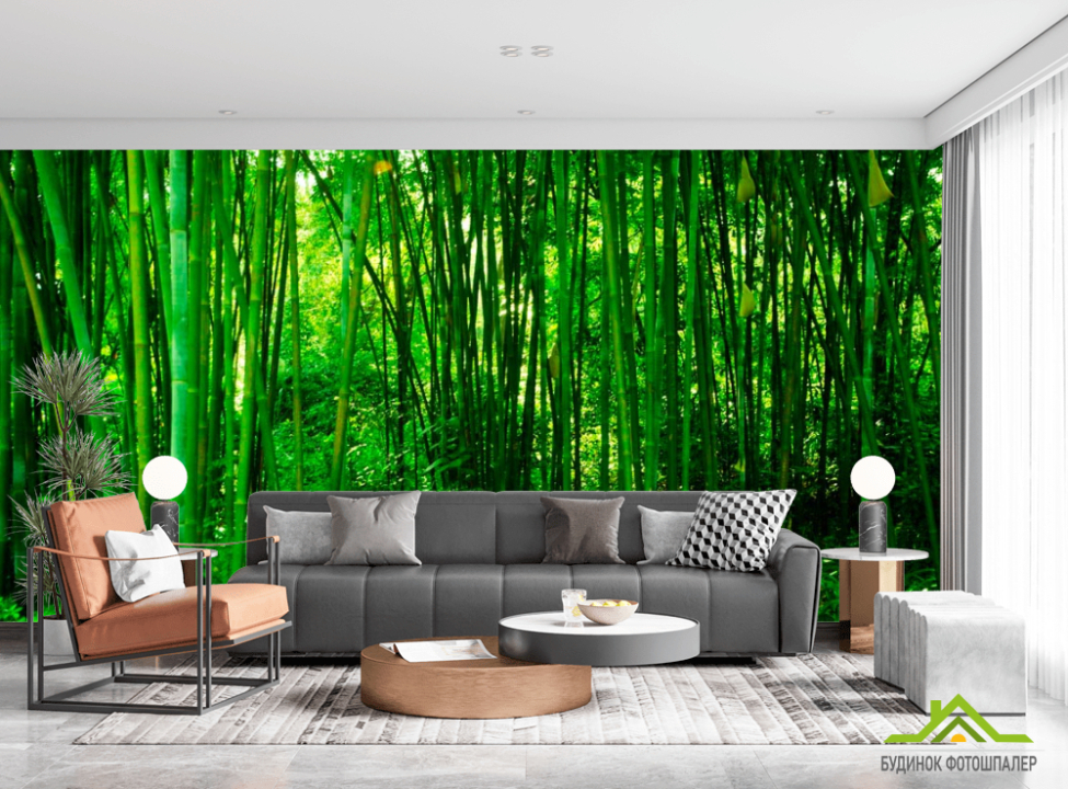 выбрать Фотообои Молодой бамбук Каталог фотообоев на стену