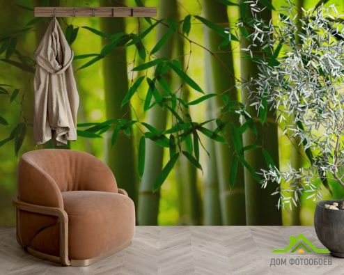 выбрать Фотообои Бамбук и листочки Фотообои Фотообои Природа: фото, зелений, зеленый  на стену