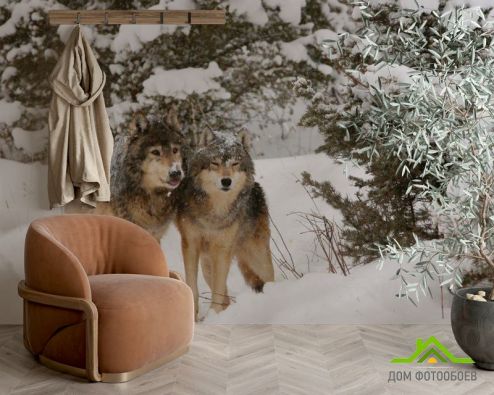 выбрать Фотообои Волки в снегу Фотообои Фотообои Животные: горизонталная, горизонтальная ориентация на стену