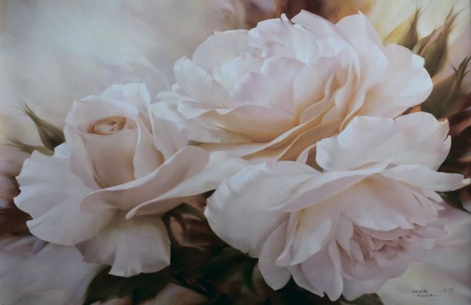 Фотошпалери Біла троянда