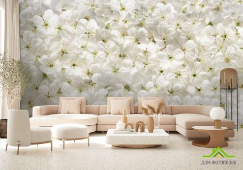 выбрать Фотошпалери білі квіти Фотошпалери, колір: «» на стіну