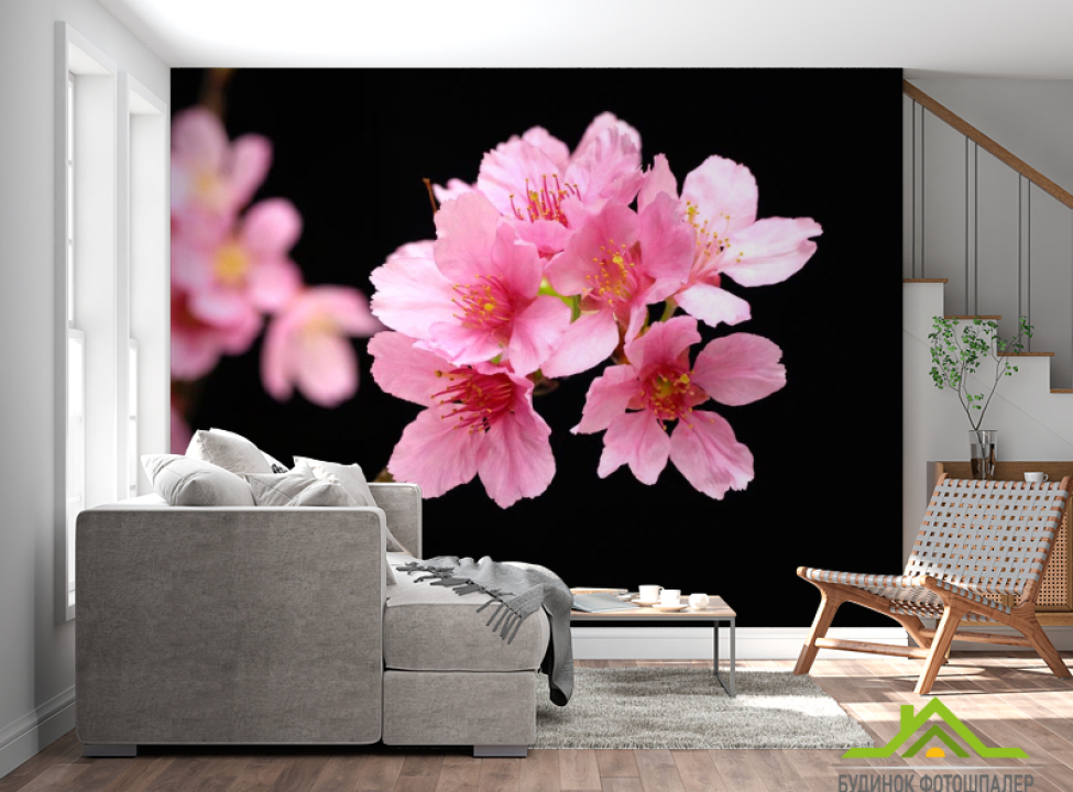 выбрать Фотообои Розовые персиковые цветы Каталог фотообоев на стену