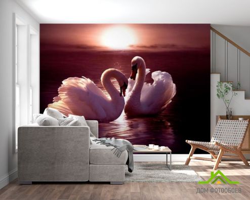 выбрать Фотообои Лебеди Фотообои Фотообои Животные: горизонталная, горизонтальная, розовый ориентация на стену