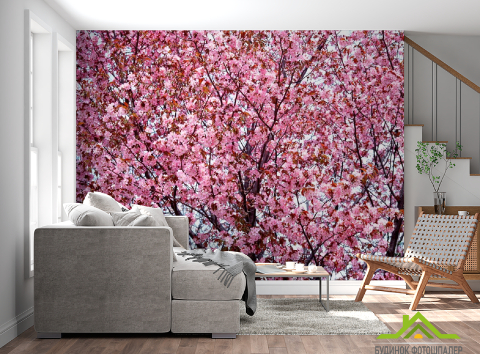 выбрать Фотообои Сакура в цвету Каталог фотообоев на стену