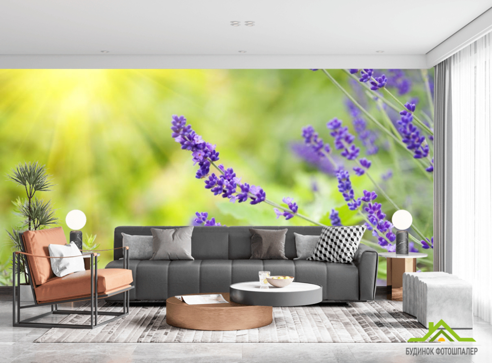 выбрать Фотообои синие полевые цветы Каталог фотообоев на стену