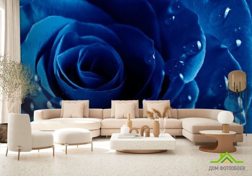 выбрать Фотошпалери Синя троянда з росою Фотошпалери Фотошпалери Квіти: фото, синій  на стіну