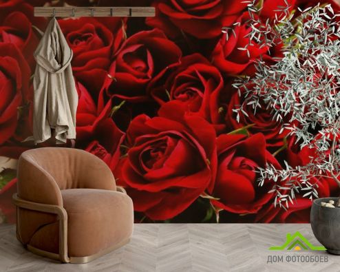 выбрать Фотошпалери Червоні троянди Фотошпалери Квіти на стіну
