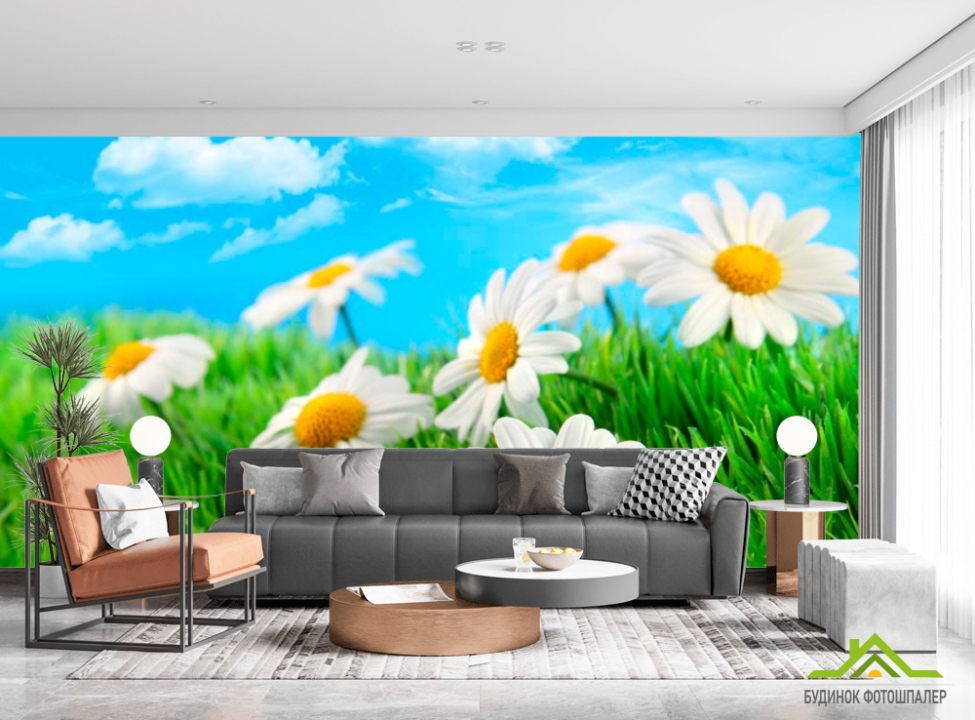 выбрать Фотообои Полевые ромашки Каталог фотообоев на стену