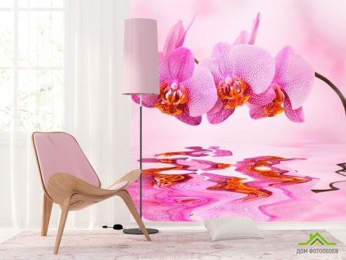 выбрать Фотообои Орхидеи розовые Фотообои Фотообои Цветы: квадратная, фото ориентация на стену