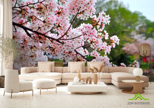 выбрать Фотообои Цветущий вишневый сад Фотообои Фотообои Цветы: фото  на стену