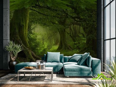 выбрать Фотообои зеленый лес Фотообои Фотообои Природа: горизонталная, горизонтальная ориентация на стену