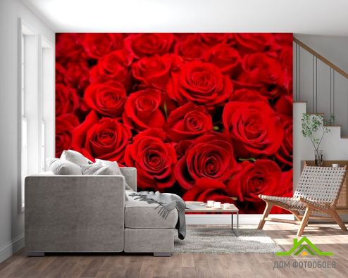 выбрать Фотошпалери Букет червоних троянд Фотошпалери Квіти на стіну