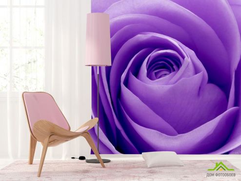 выбрать Фотообои Сиреневая роза Фиолетовые фотообои на стену