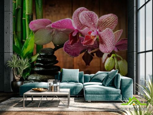 выбрать Фотообои Малиновые полосчатые орхидеи Фотообои Цветы на стену