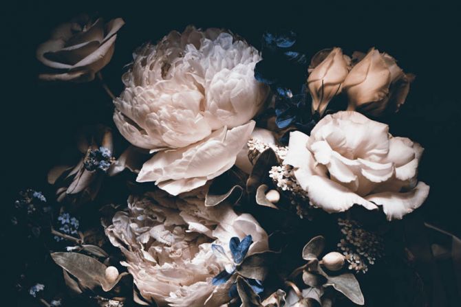 Фотообои Винтажные цветы на черном фоне