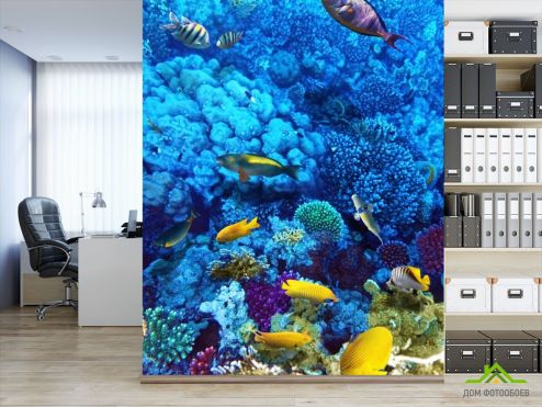 выбрать Фотошпалери Блакитний підводний світ Фотошпалери, колір: «» на стіну