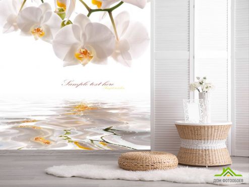 выбрать Фотообои Орхидеи белоснежные Фотообои Цветы на стену