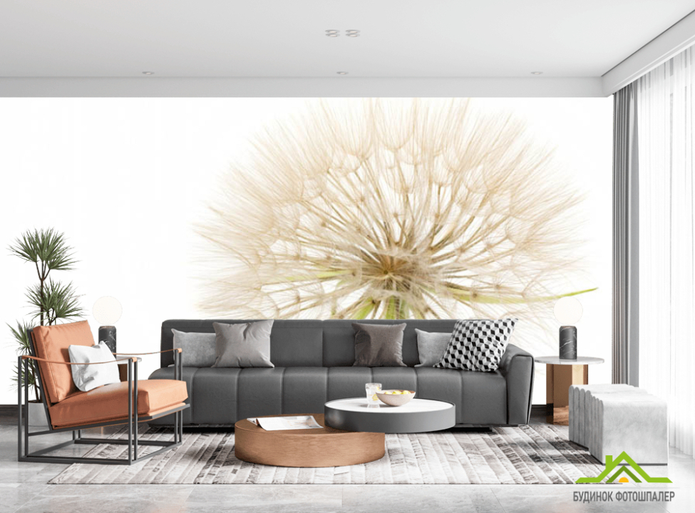 выбрать Фотошпалери кульбаба Каталог фотошпалер на стіну